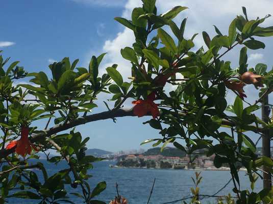 Подстрана Хорватия. Фото 2