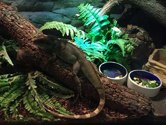 Зоопарк Загреба. Фото 1