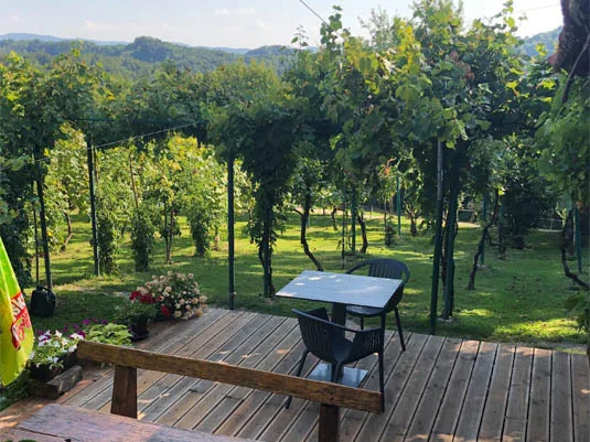 Ресторан "Grešna gorica" Загорья. Foto 1