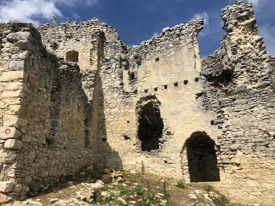 Руины средневекового замка Миленград / Milengrad. Фото 6