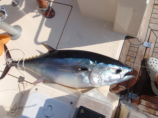 Рыбалка в Хорватии