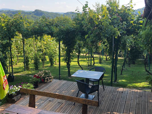 10 лучших ресторанов отличной местной кухни. Ресторан "Grešna gorica" Загорье