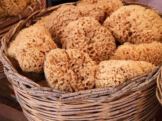 Морские мочалки-губки - сувениры из Хорватии