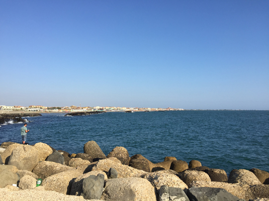 Хорватия - Италия. Фьюмичино / Fiumicino. Средиземноморская кухня Италии. Фото 6