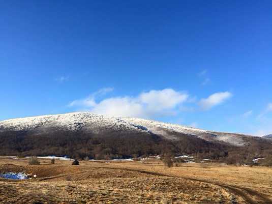 Охота в Хорватии. Фото 3