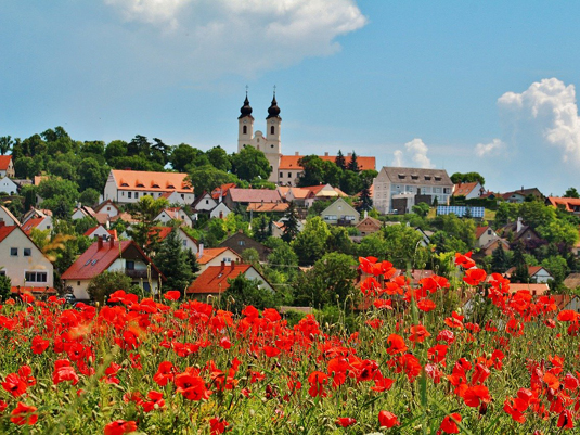 Хорватия-Венгрия. Озеро Балатон. Фото 8