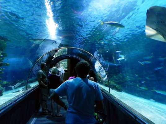 Океанариум Tropicarium Будапешта