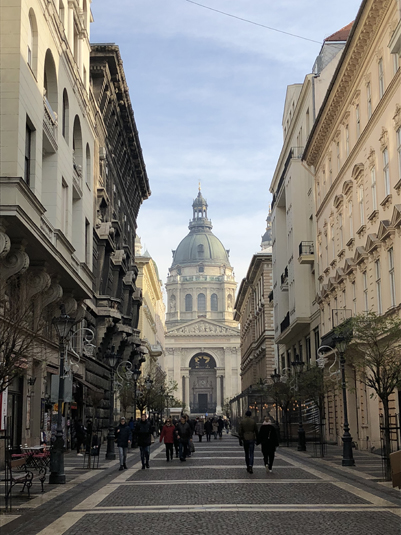 Хорватия-Венгрия. Будапешт за 3 дня что посмотреть? Фото 6