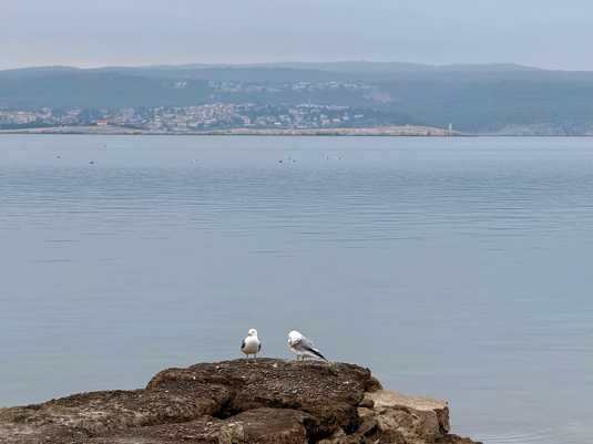 Crikvenica / Цриквеница курорт. Фото 6