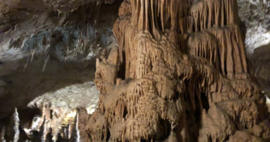 Хорватия-Словения. Постойнска яма / Postojska jama. Фото 2