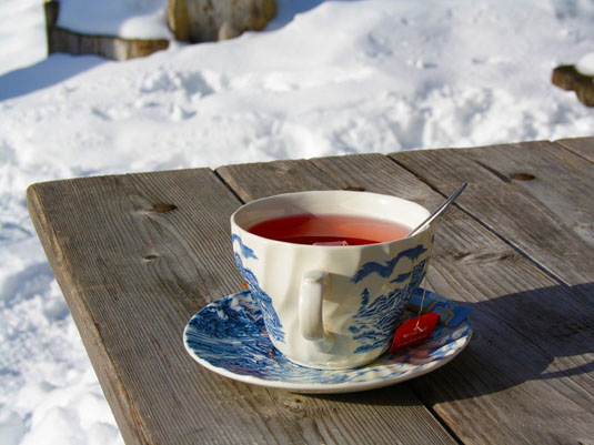 Горные лыжи в Словении