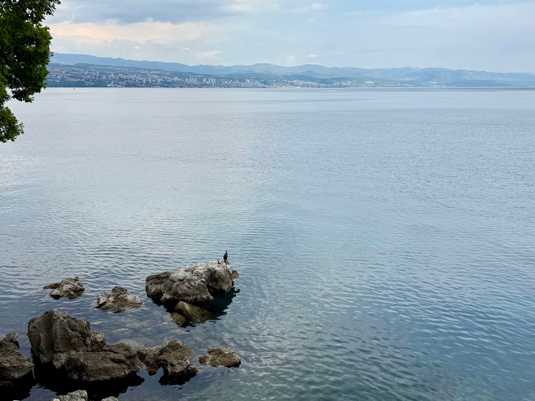 Кофе в Опатии